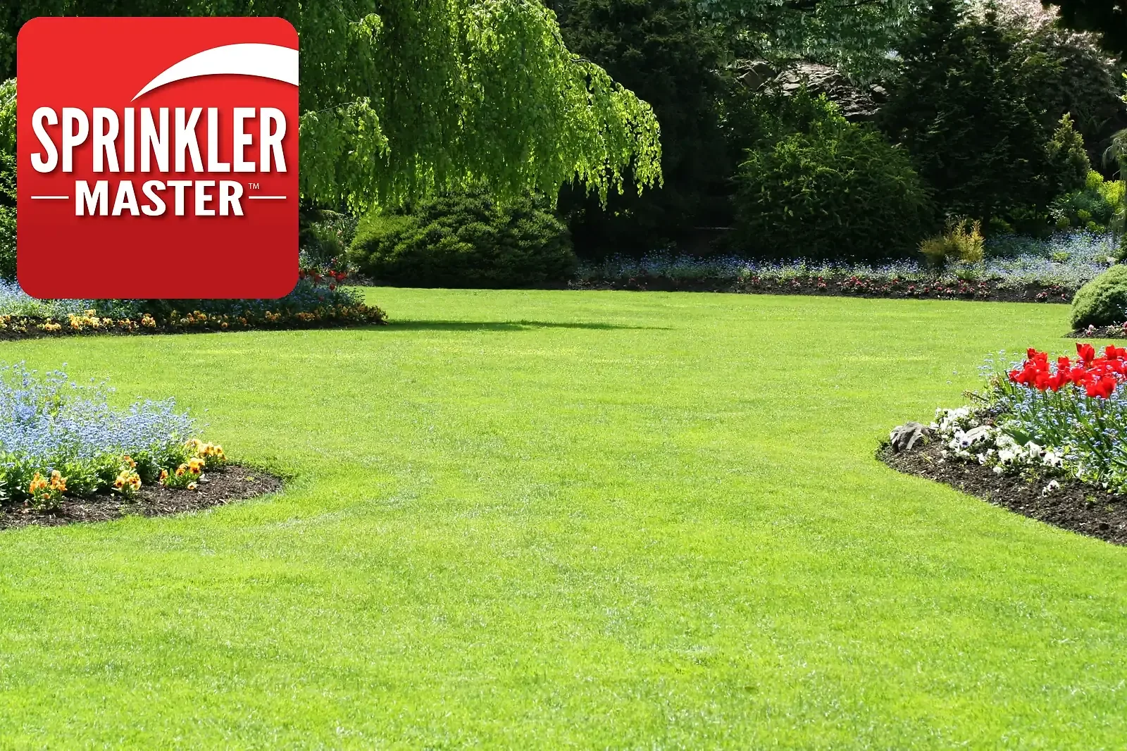 Healthy lawn with even sprinkler coverage